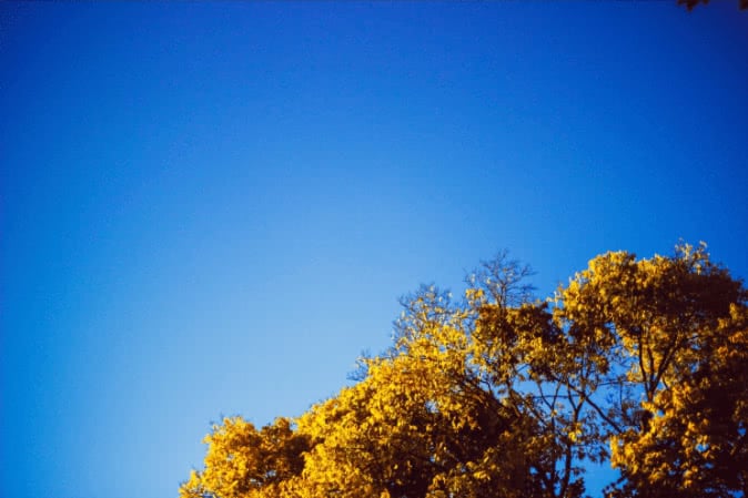 How Can I Easily Improve My Home's Indoor Air Quality?